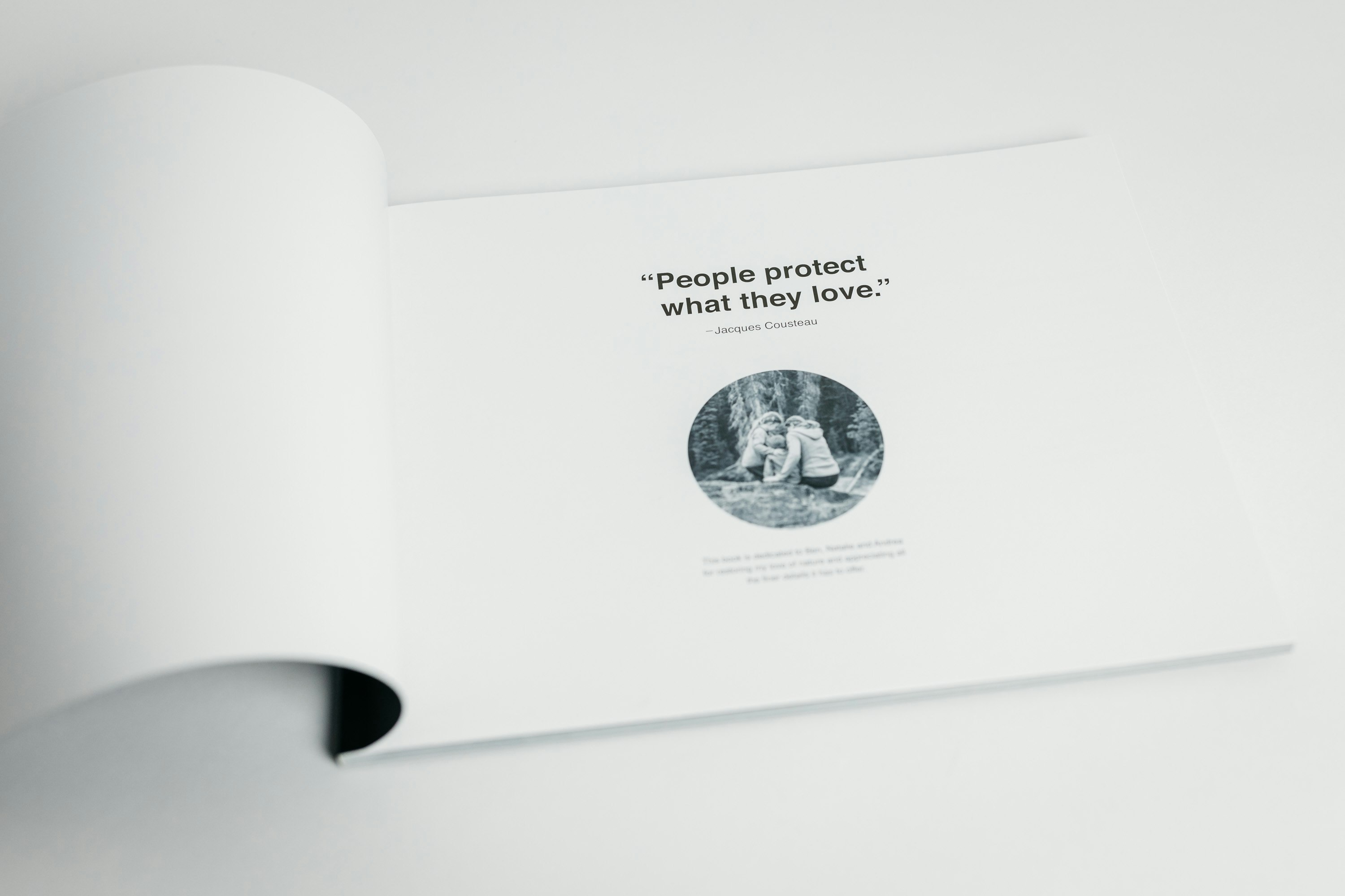 The Canadian Rockies gallery image