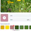 GK Color Studio