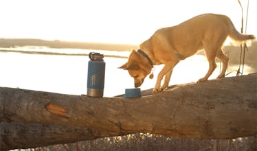 Acteon Softshell Bottle Sleeve gallery image