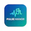 Pulse Manor