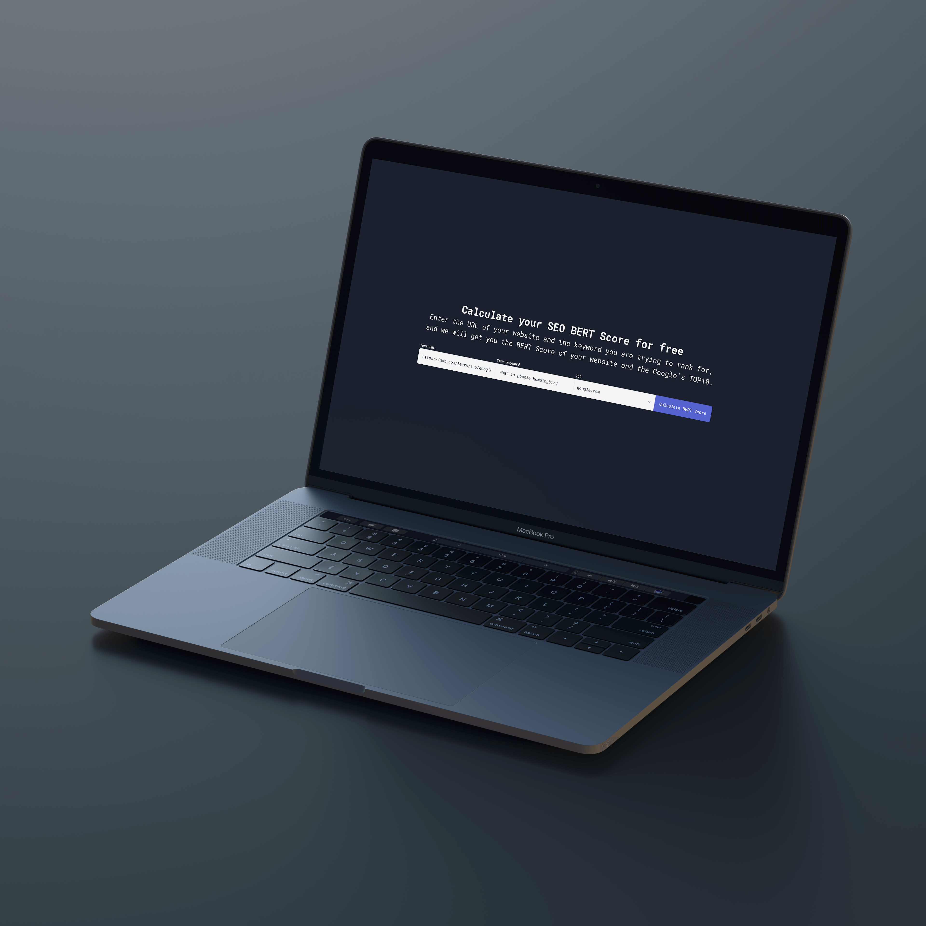 SEO BERT Calculator gallery image