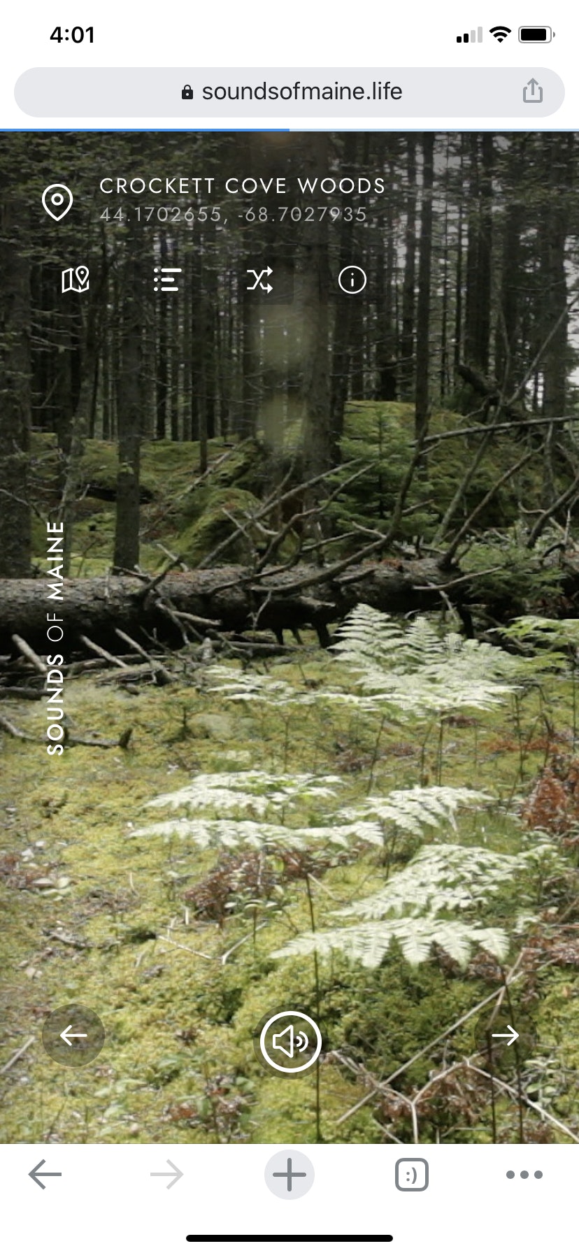 Sounds of Maine gallery image