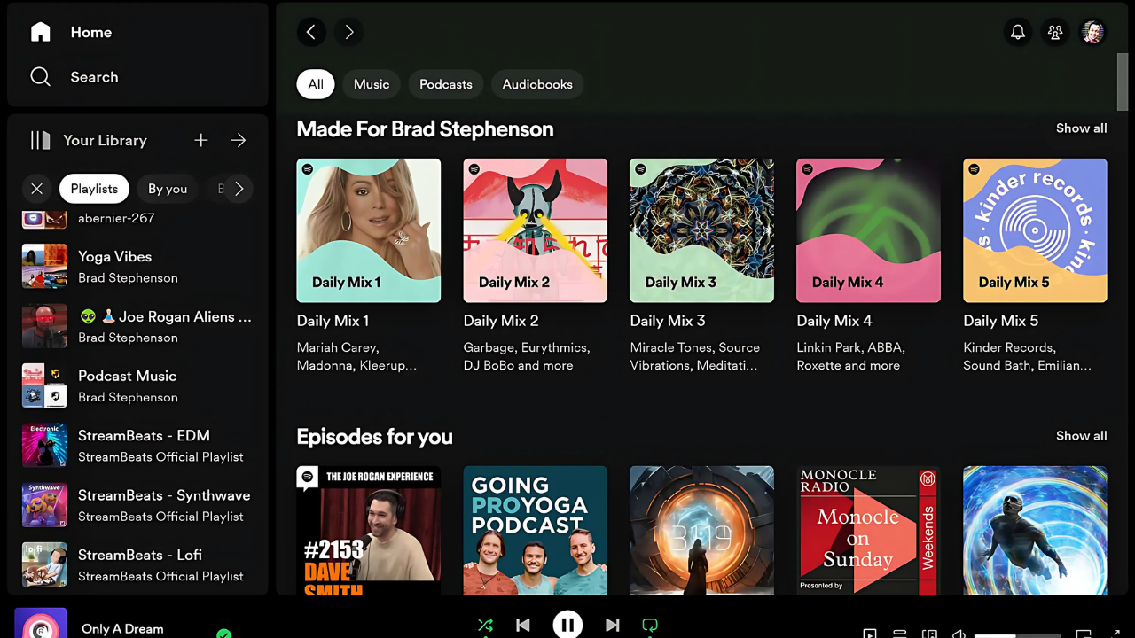 Spotify Premium Mod APK gallery image
