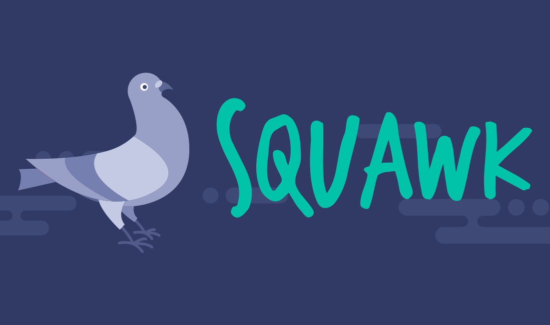 Pigeon gallery image