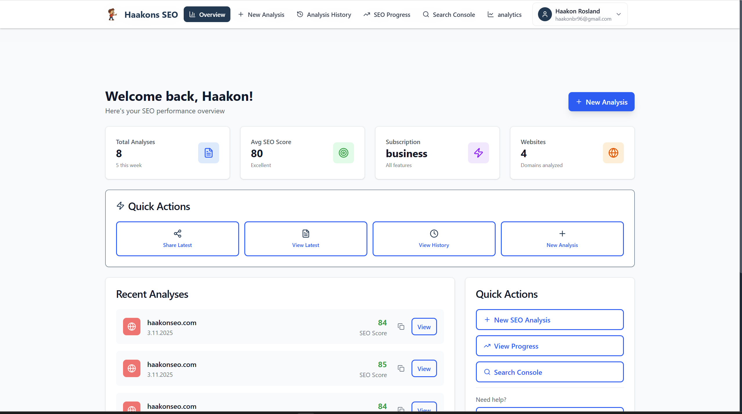 Haakon's SEO - Main screenshot showing features and interface