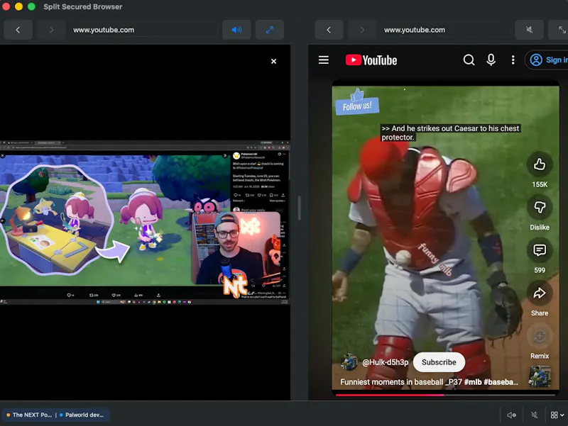 Split Secured Browser screenshot 4