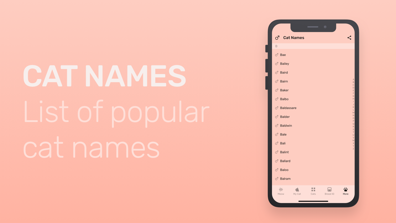 Meowly gallery image