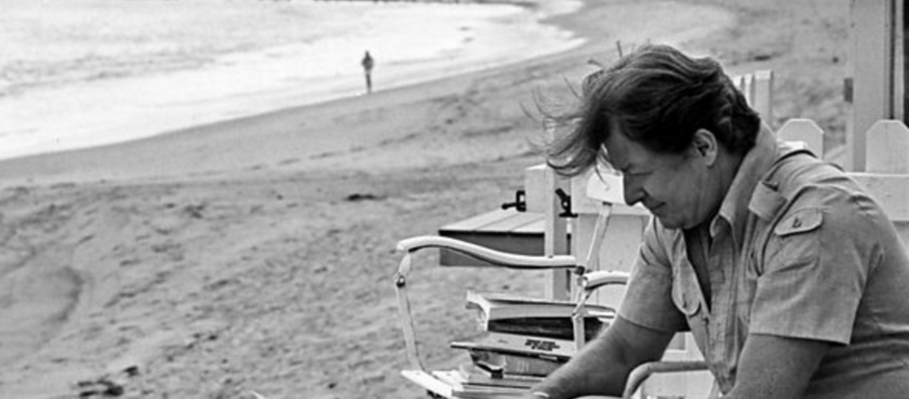 Shogun gallery image