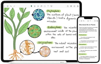 Noteshelf gallery image