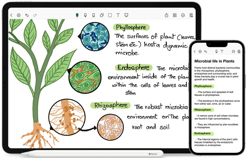 Noteshelf media 2
