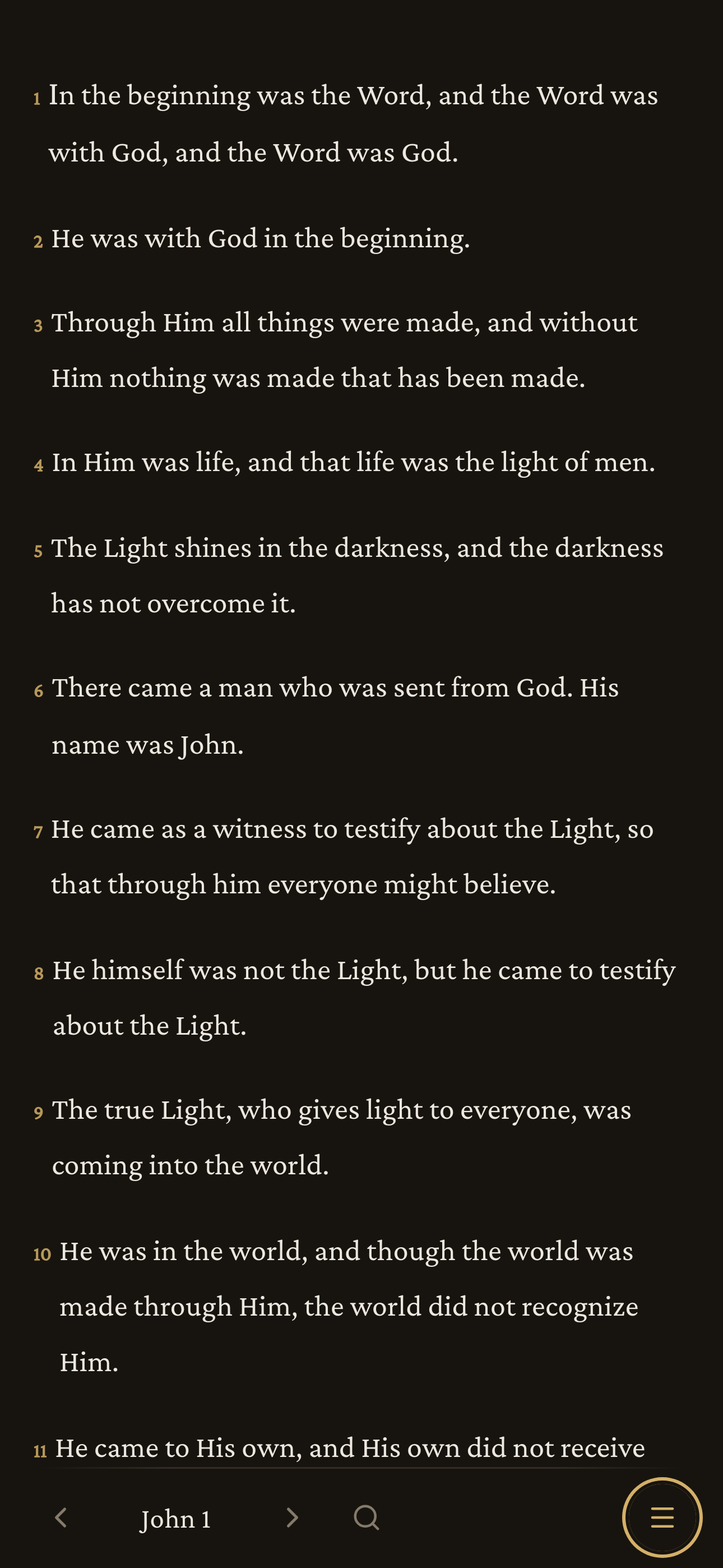 Lite Bible - Screenshot 4 showing product features and functionality