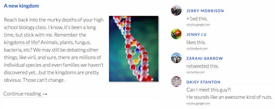 Bridgy gallery image