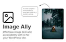 Image Ally
