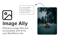 Image Ally