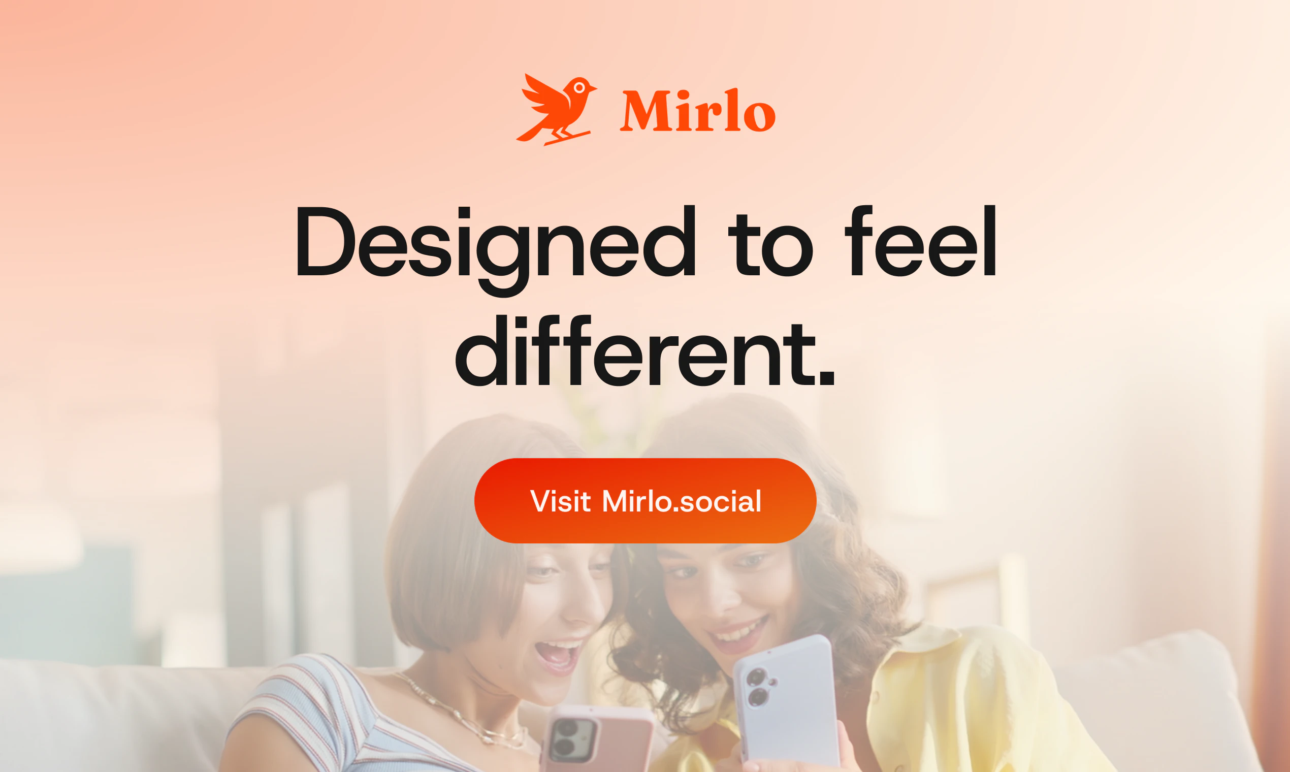 Mirlo screenshot 5