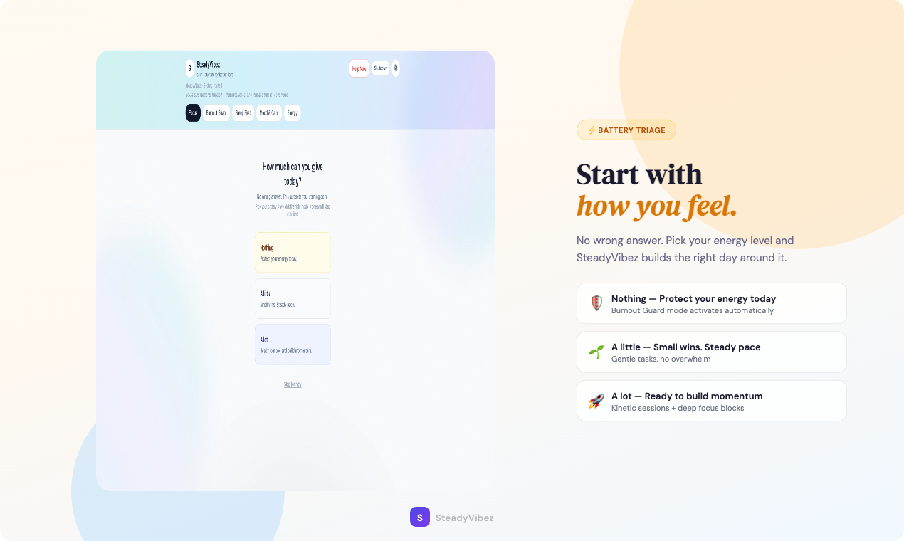 SteadyVibez  - Main product screenshot demonstrating key features and user interface