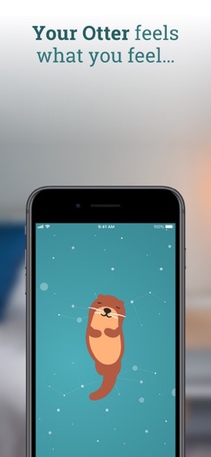 Significant Otter gallery image