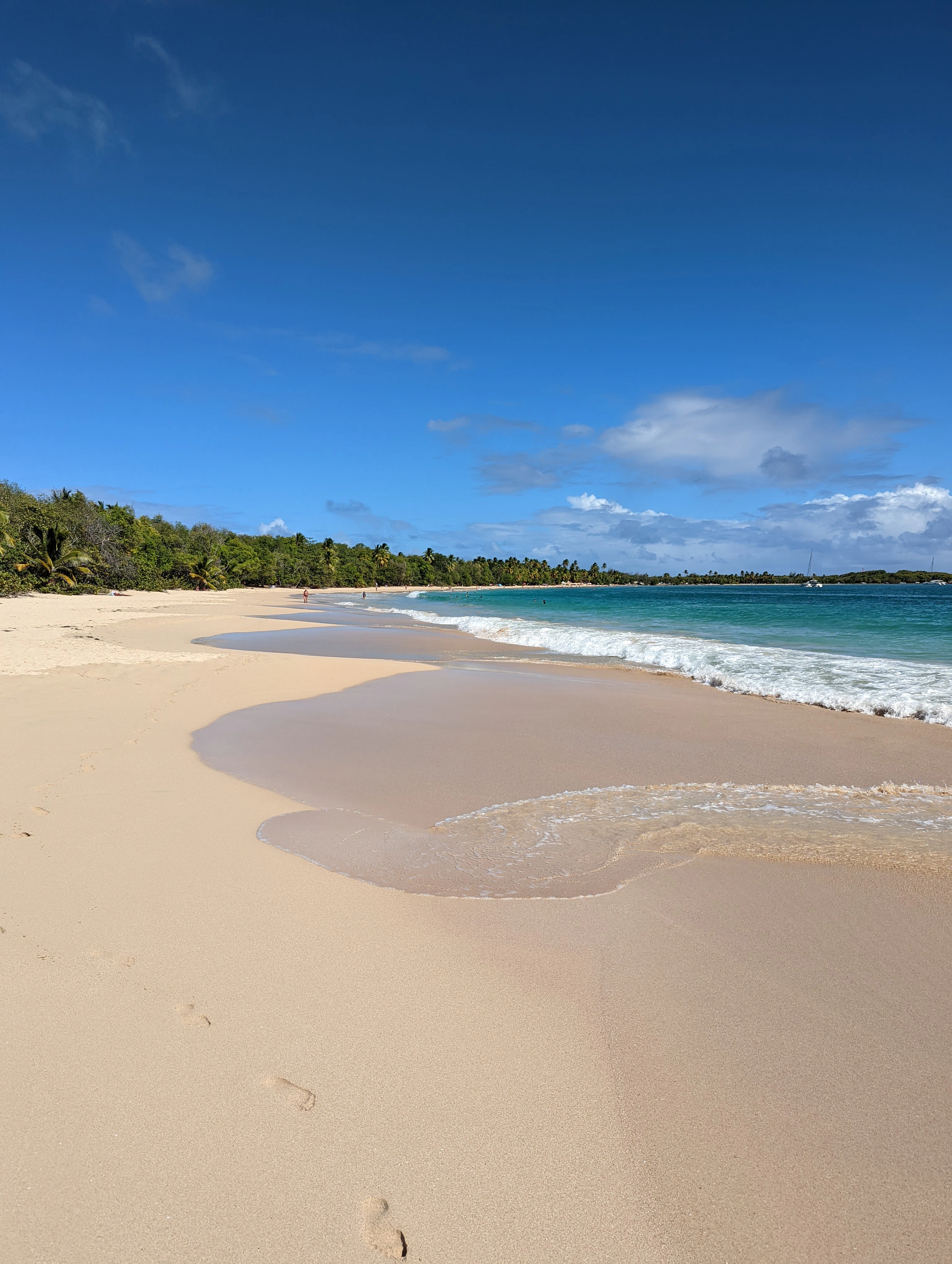 Robert Balahura cover