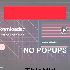 ThisVid Video Downloader gallery image