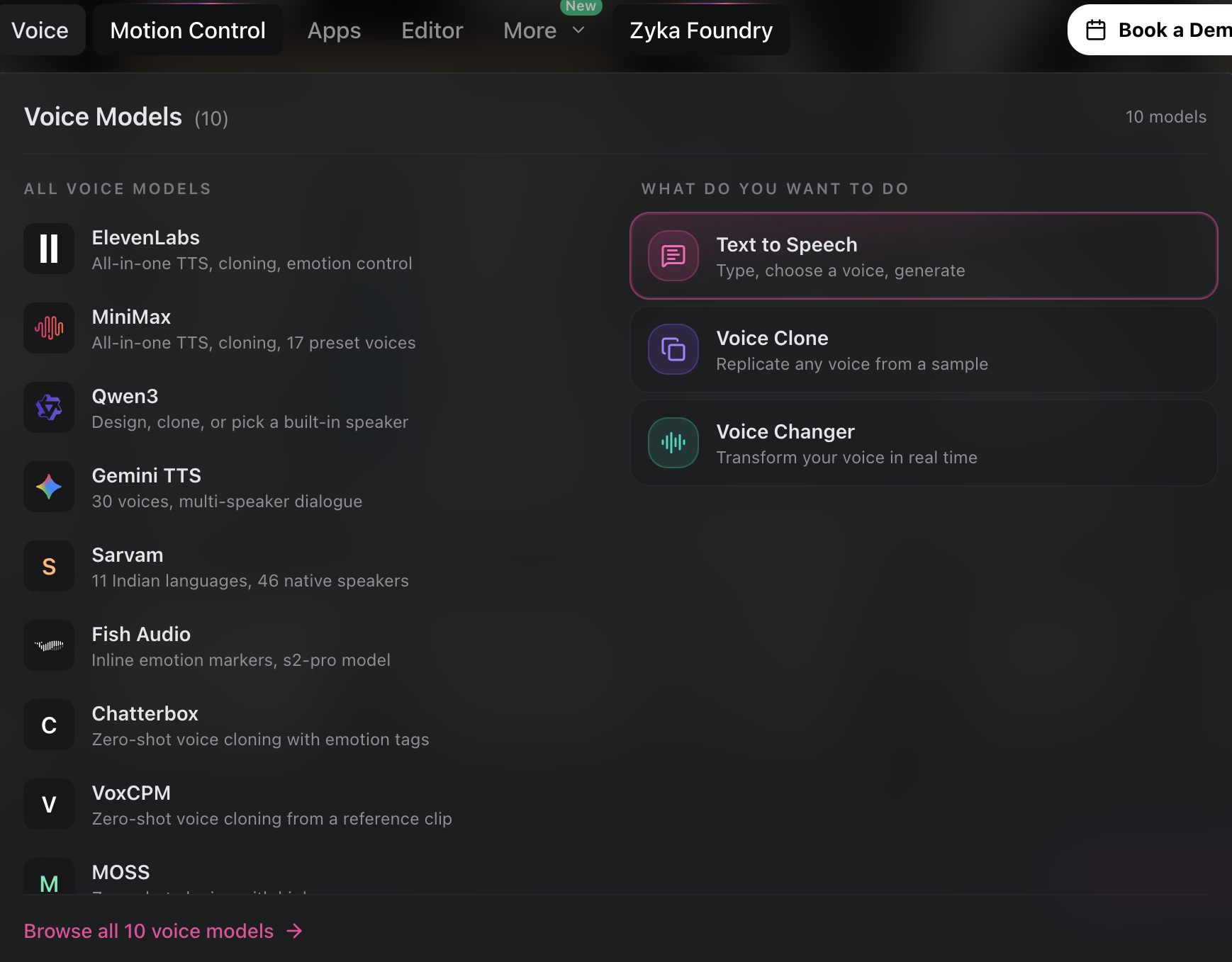 Zyka.ai gallery image