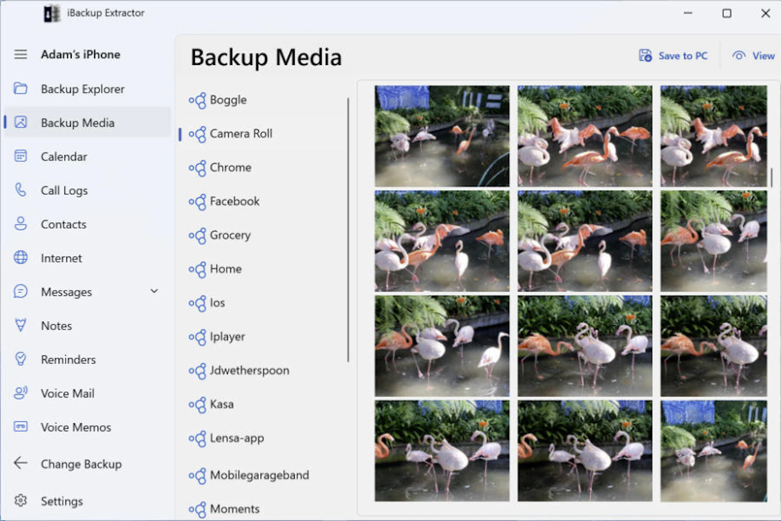 iBackup Extractor screenshot 2