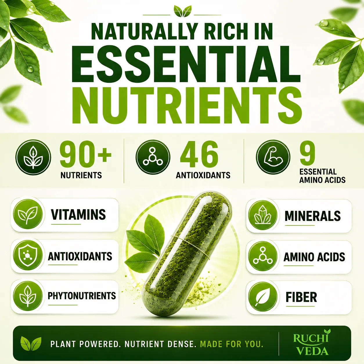 Pure Moringa Leaf Powder & Capsules gallery image