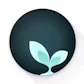 Essence - Quit addiction nofap
