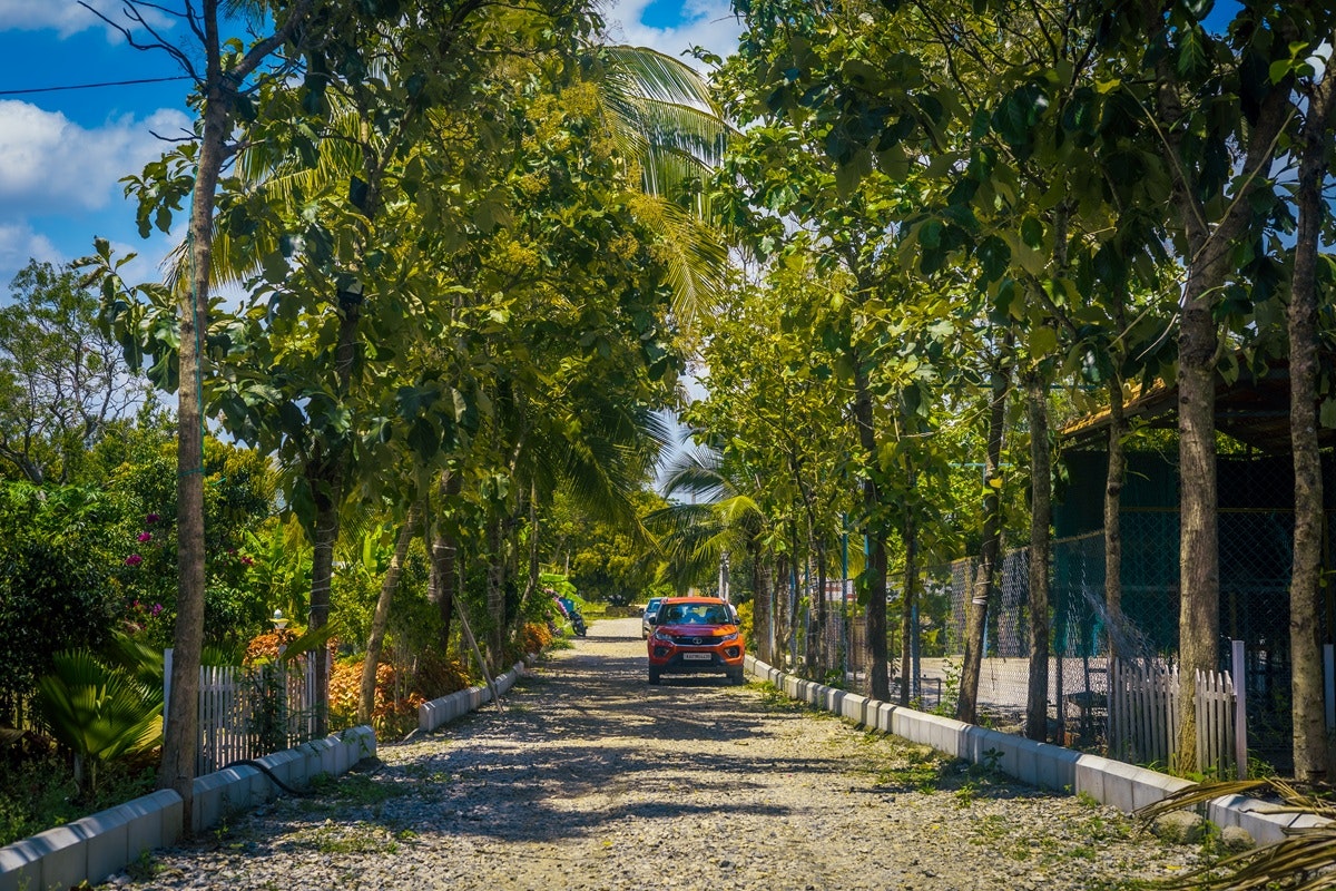 Média terres agricoles gérées de qualité supérieure près de Bangalore - terres agricoles gérées près de Bangalore 1