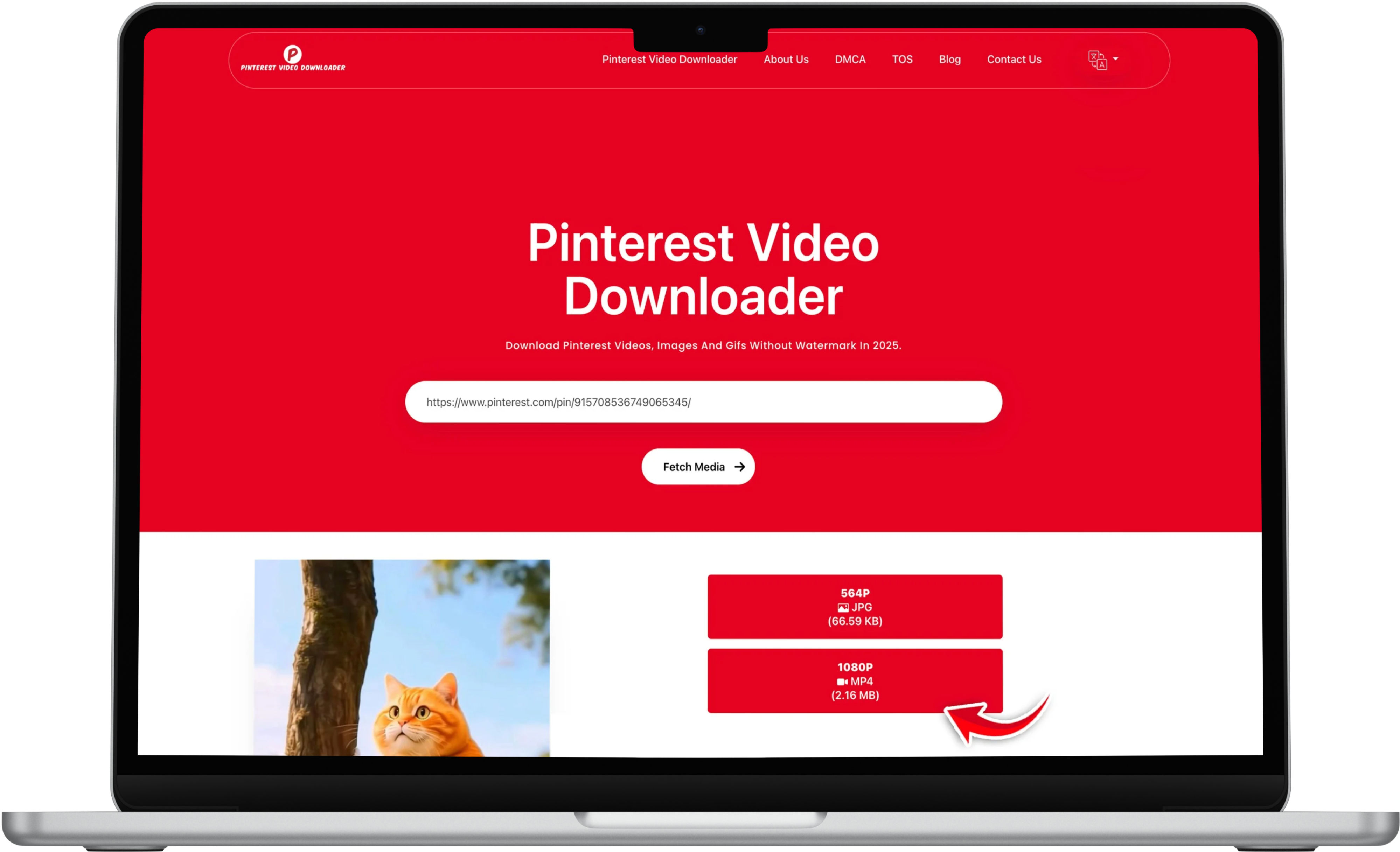 Pinterest Video Downloader gallery image