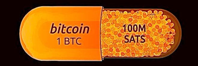 UmbrellaX Web3.0 gallery image