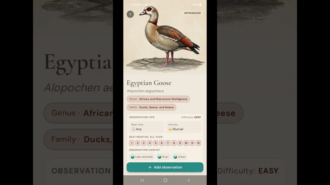 Aves ID - Bird Identifier for Europe gallery image