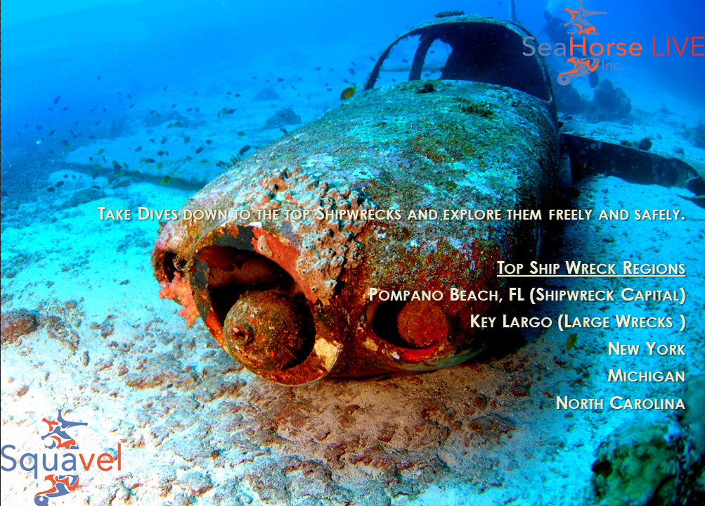 Squavel gallery image