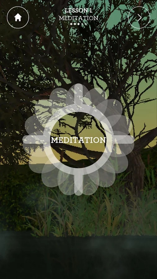 Wildflowers Mindfulness gallery image