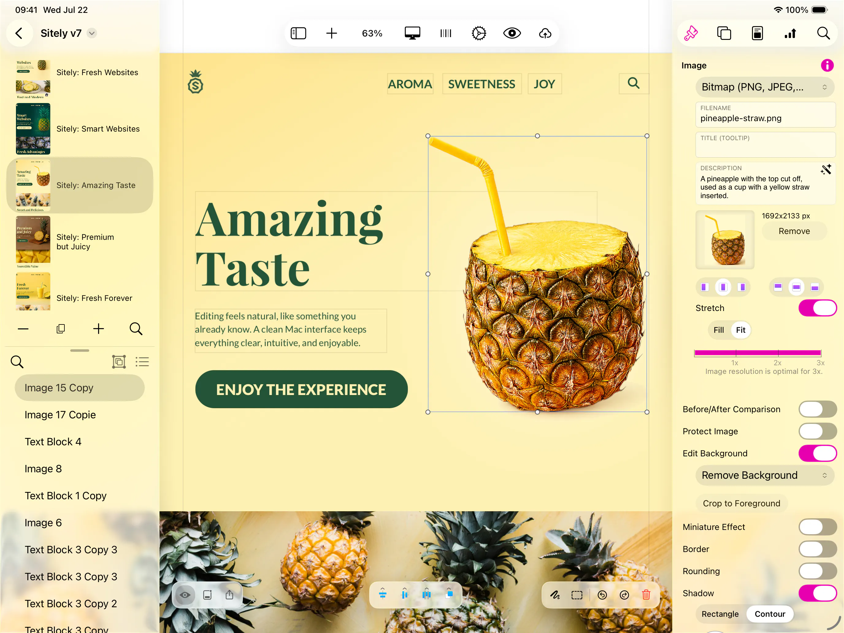 Sitely iPad AI+Visual Website Builder 截图 4