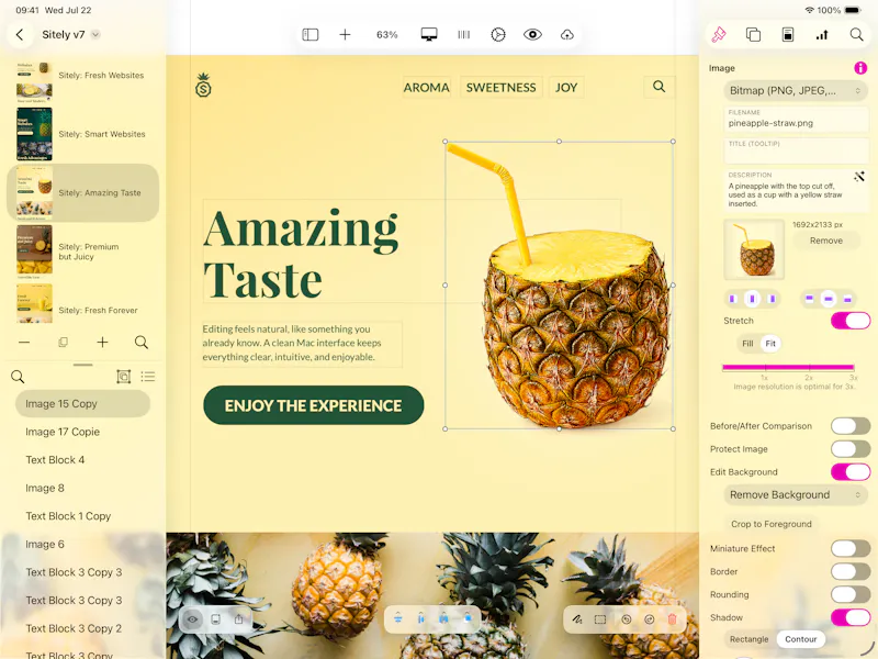 Sitely iPad AI+Visual Website Builder screenshot 5