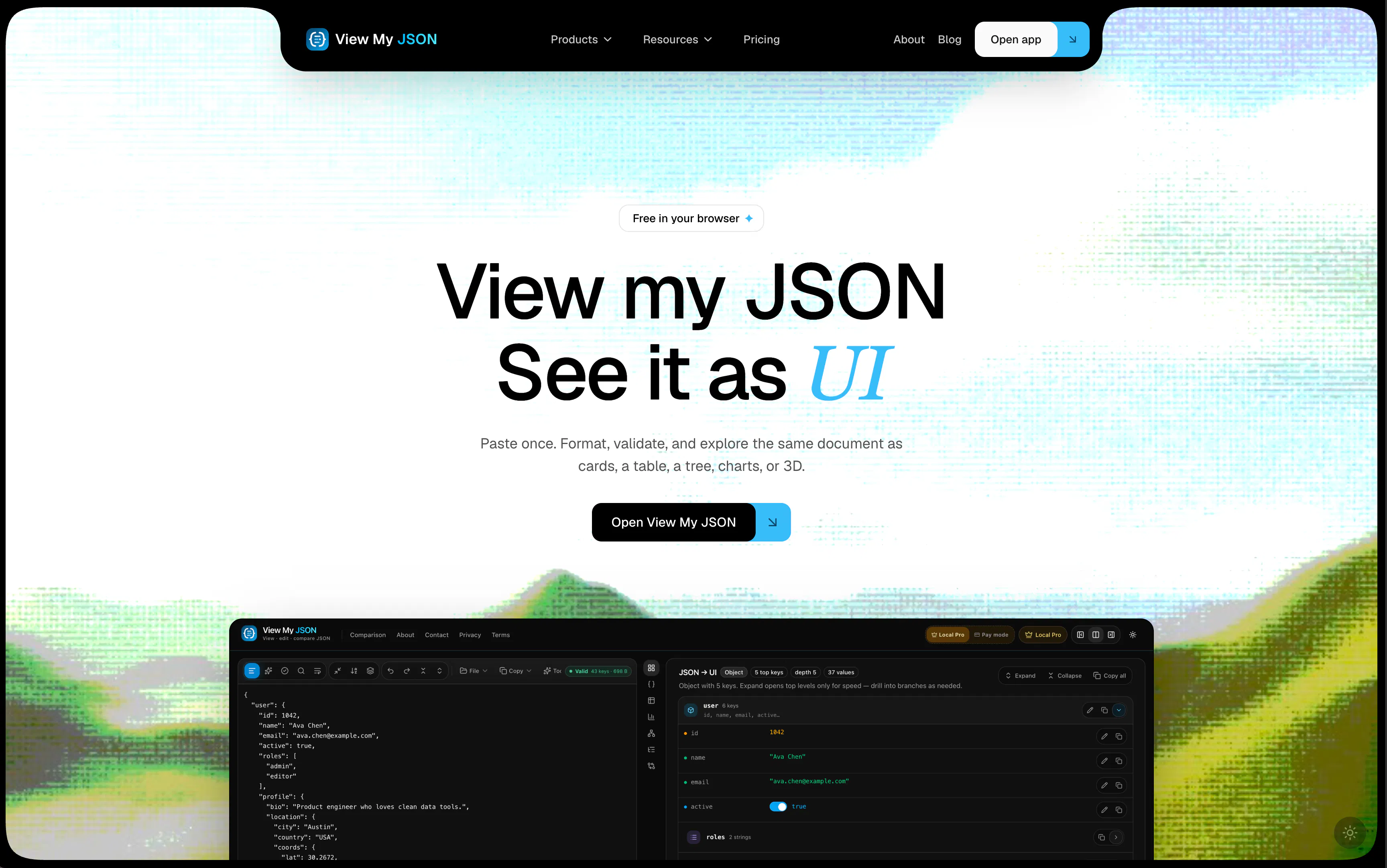 View My JSON