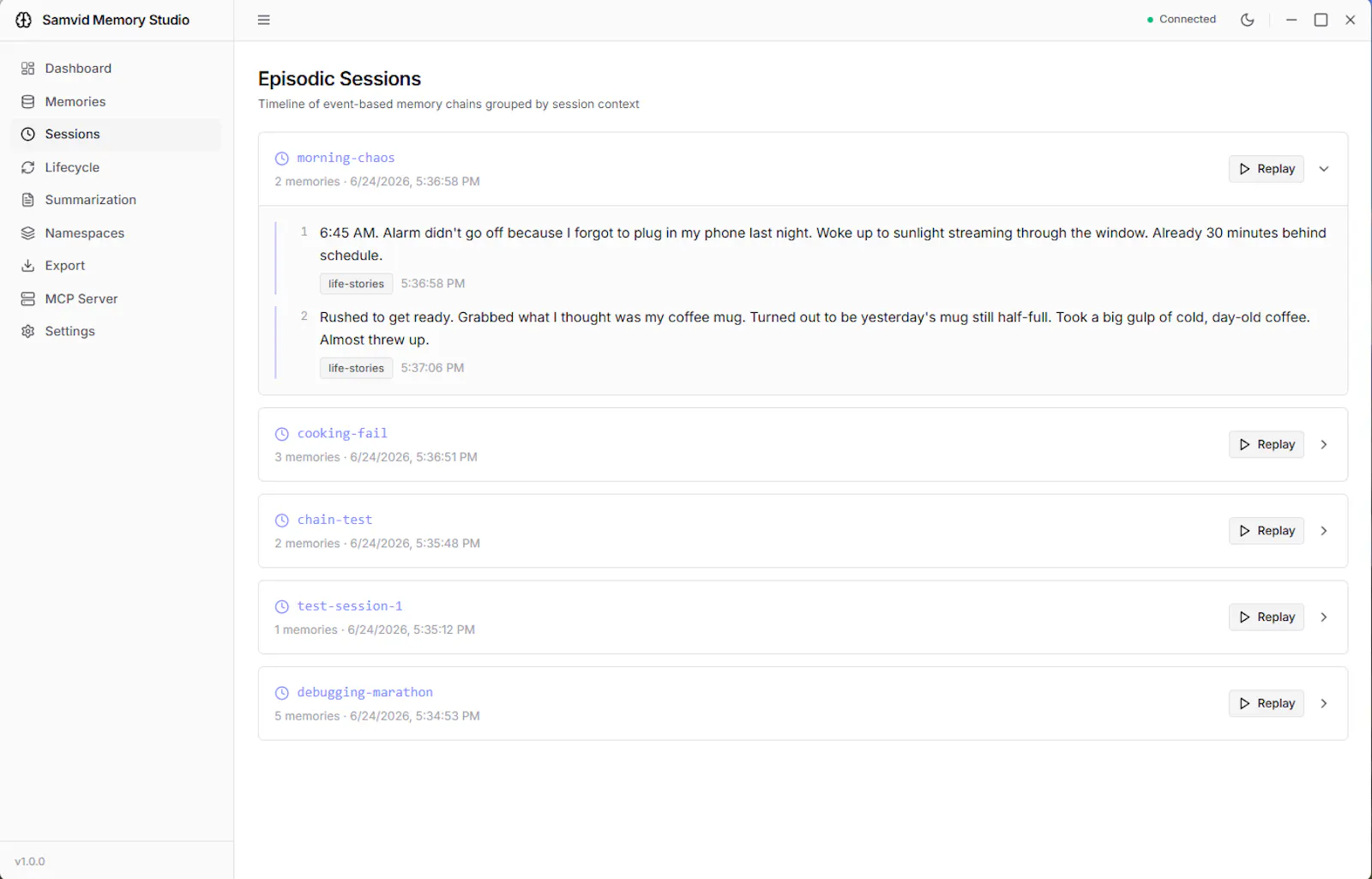Samvid Memory Studio screenshot 4