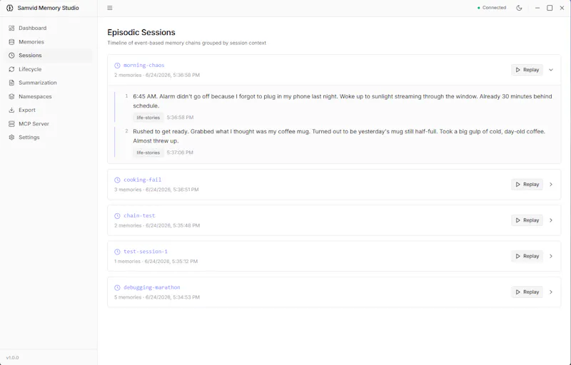 Samvid Memory Studio screenshot 4