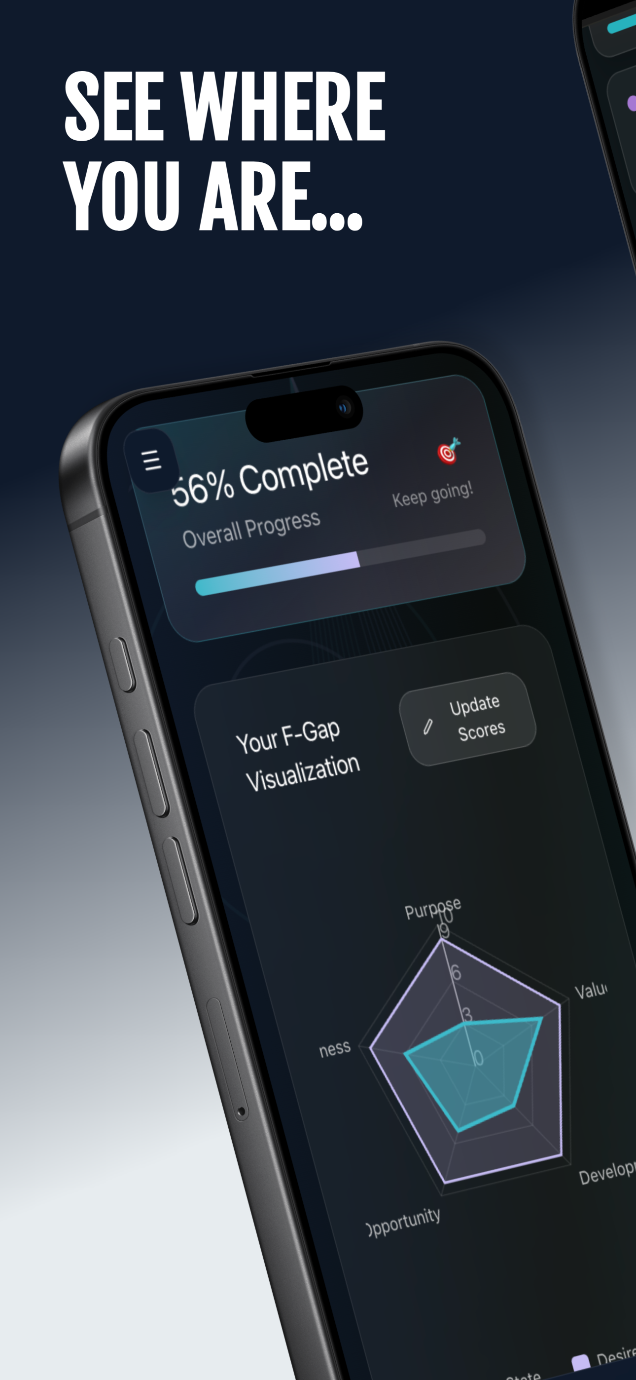 The F-Gap - Screenshot 2 showing product features and functionality