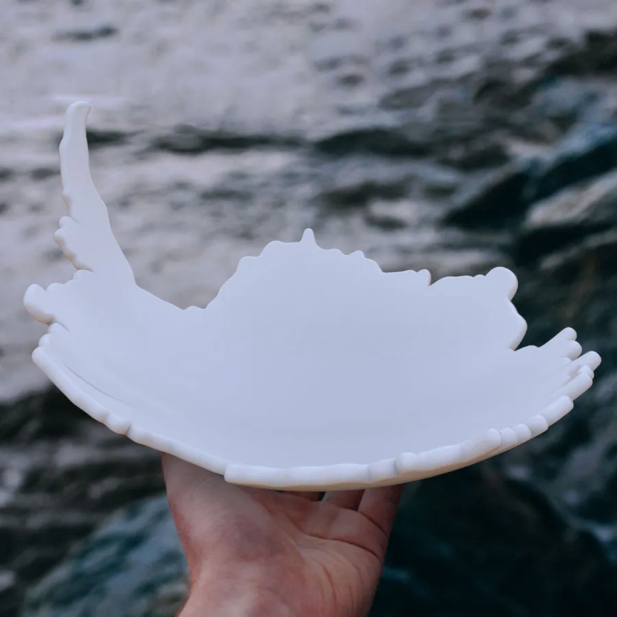The South Bowl