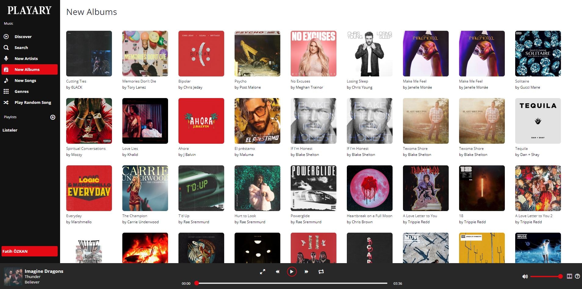 Playary gallery image