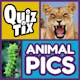 QuizTix: Animal Pics