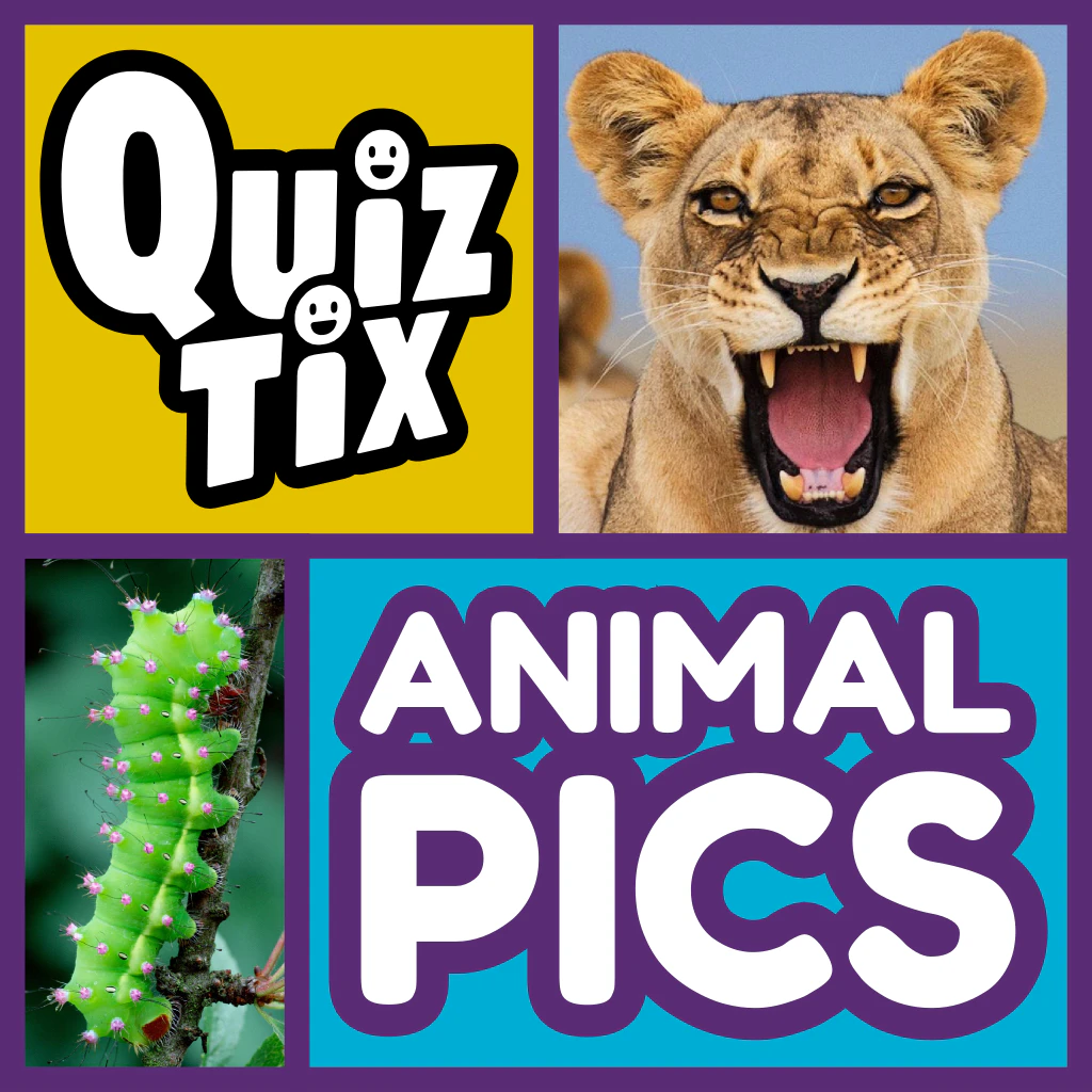 QuizTix: Animal Pics