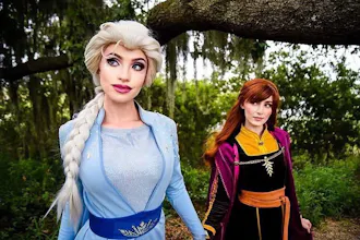 Orlando Princess Parties gallery image