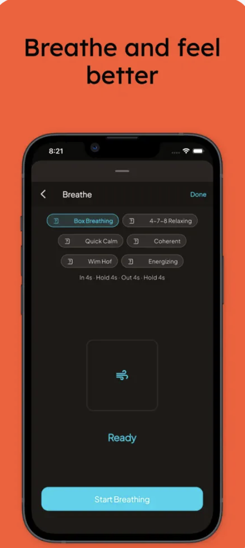 Kori - Your AI Wellness Journal gallery image