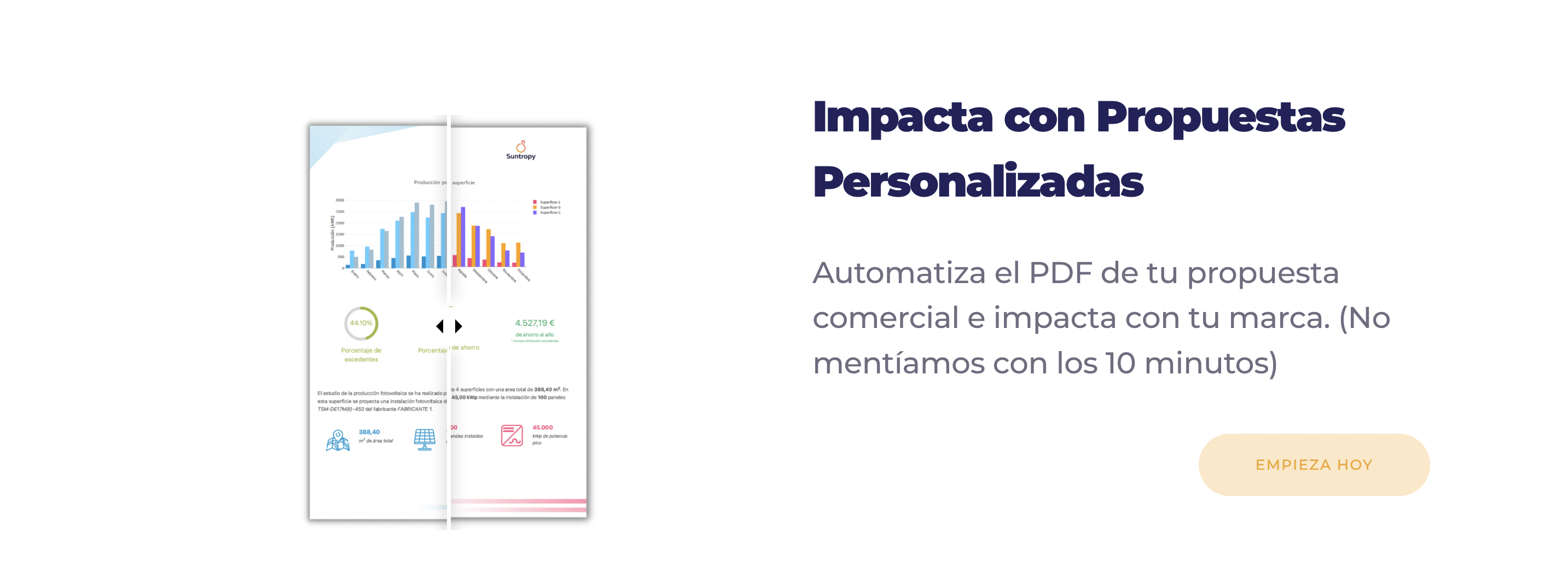 Suntropy gallery image