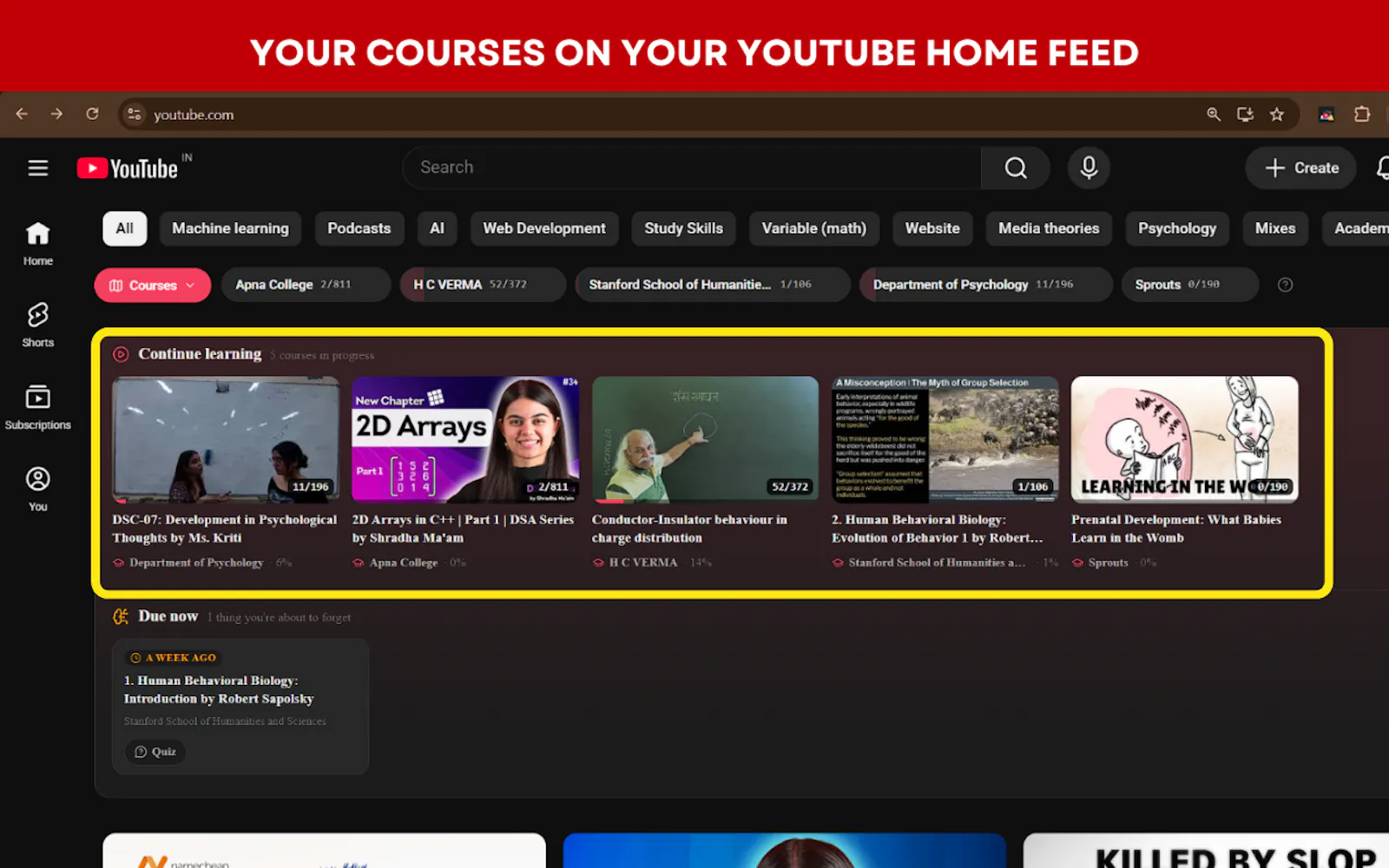 CoursifyYT screenshot 6
