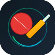 Wickto - Gully Cricket