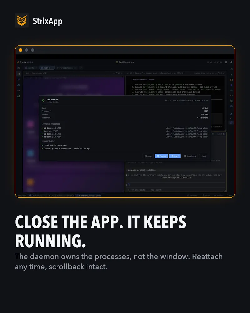 StrixApp screenshot 3