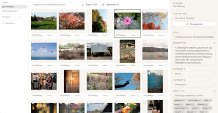 Picseta gallery image